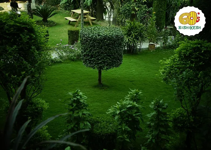 Top Hostels in Rishikesh for Backpackers