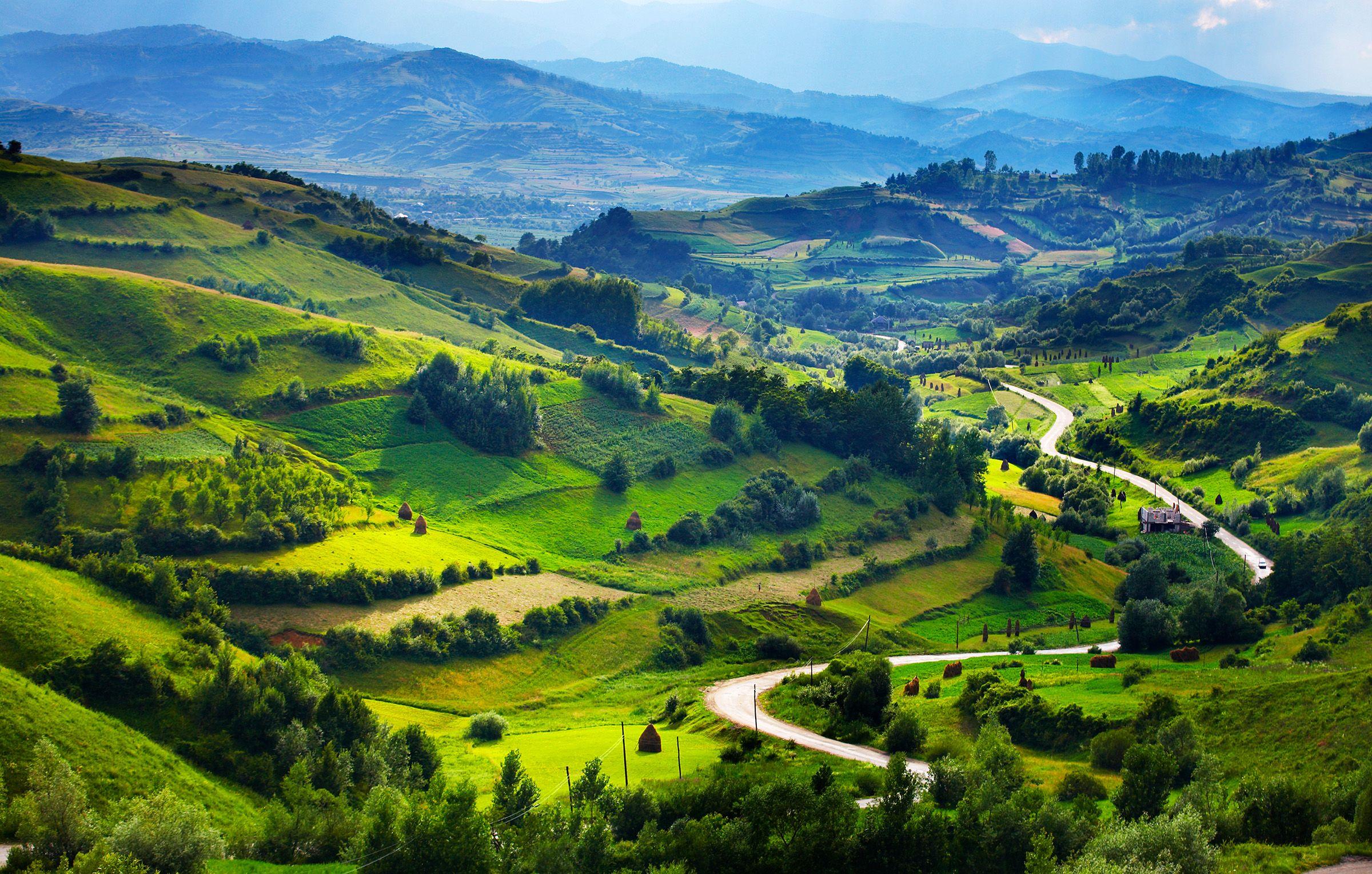 Le foreste della Transilvania ©Matt Munro/Lonely Planet