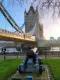 Top things to do in London: 13 beautiful sights to see