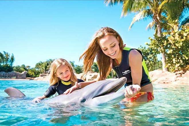 Discovery Cove