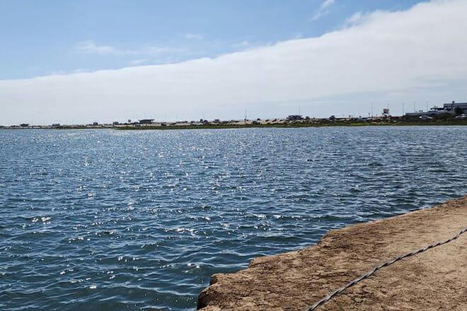 Bolsa Chica State Beach — Huntington Beach