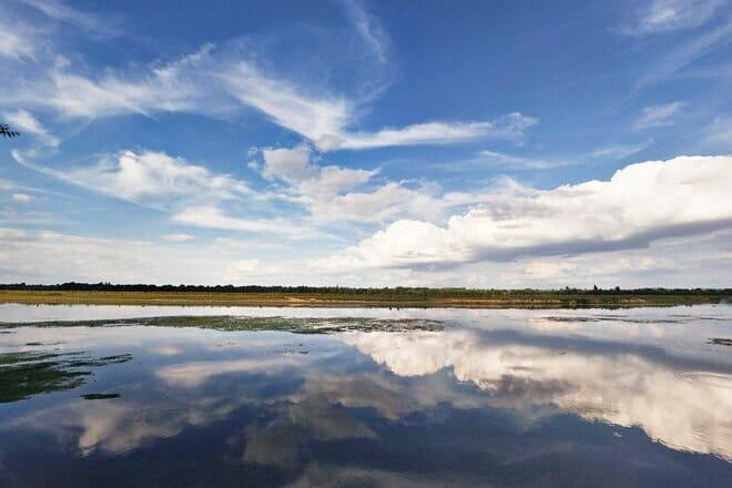 Port Meadow — Oxford