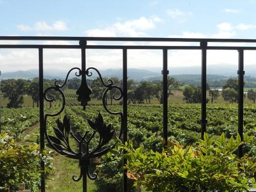 Yarra Valley in Australië