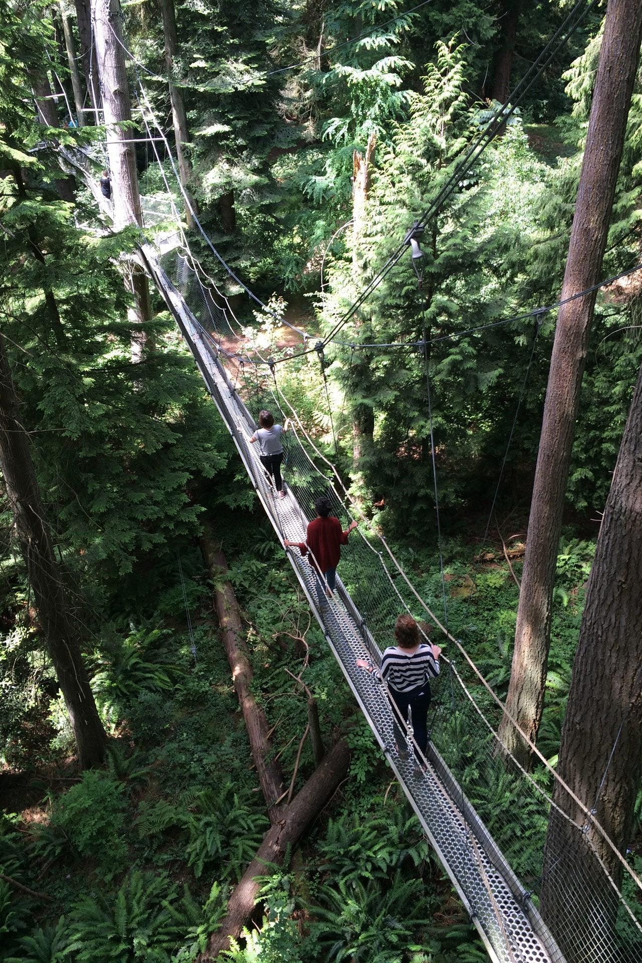 TreeWalk at UBC Botanical Garden