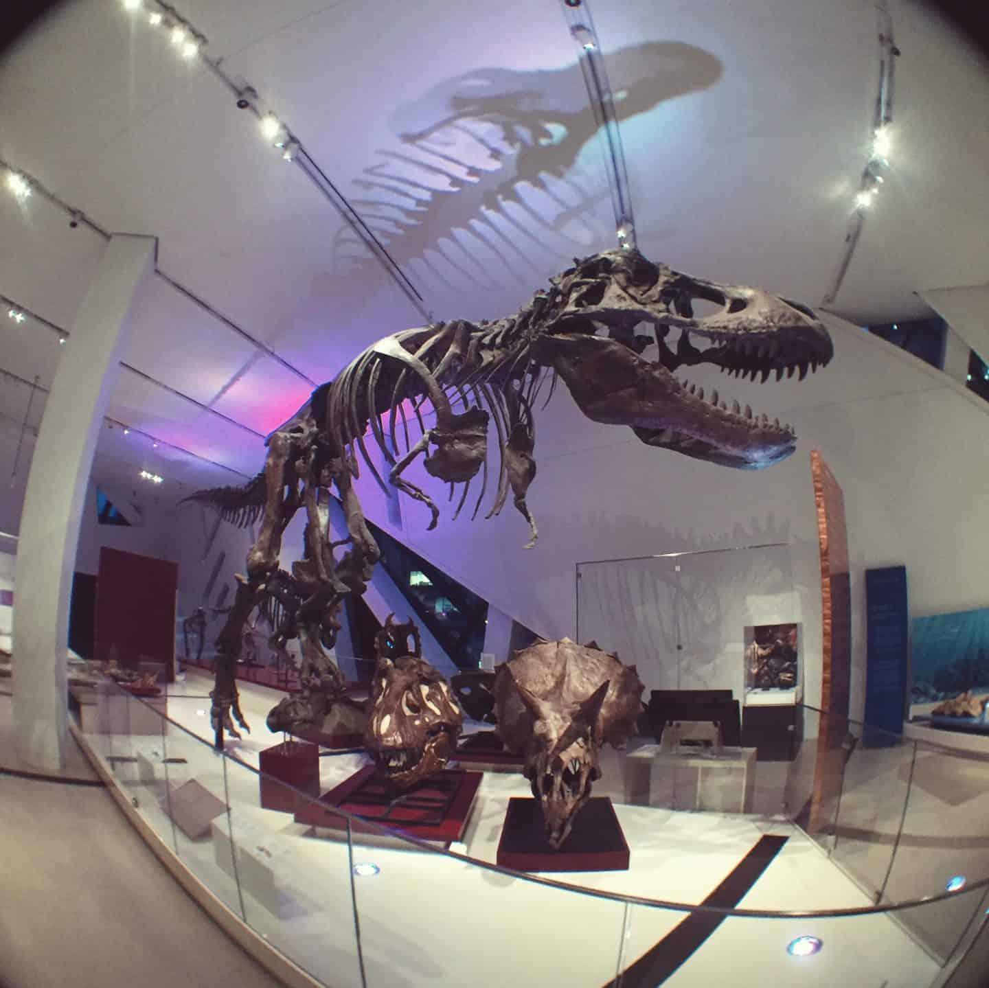 Top 10 things to do in downtown Toronto (cool activities and more) 