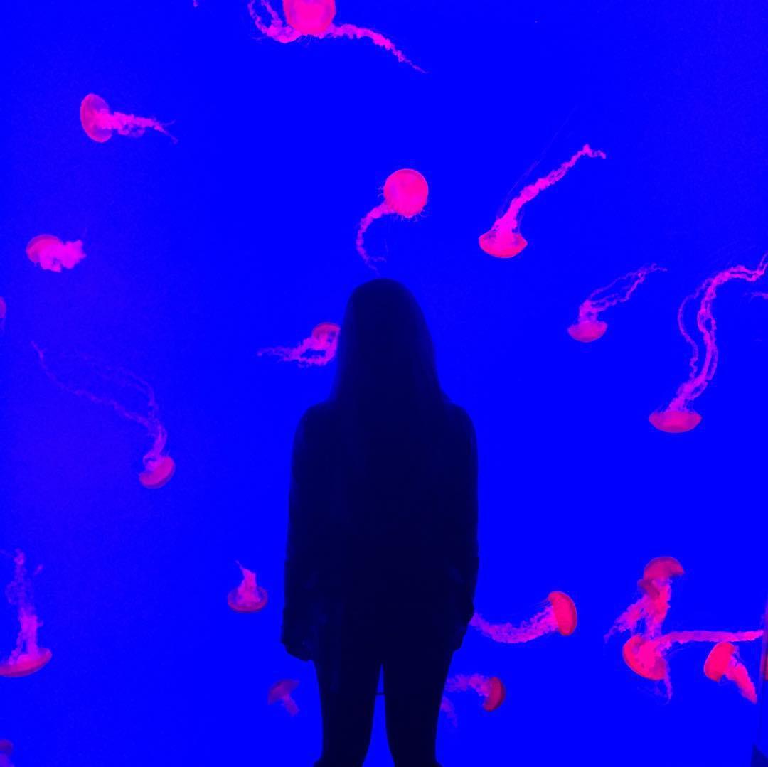 L'aquarium Ripley à Toronto, Canada