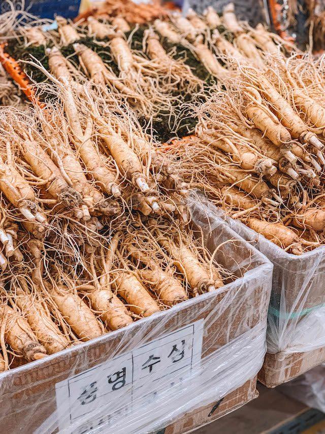 Suedkorea Ginseng