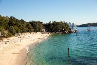 Sydney shark beach