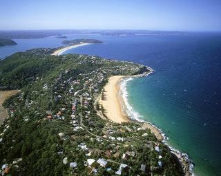 Whale Beach Sydney